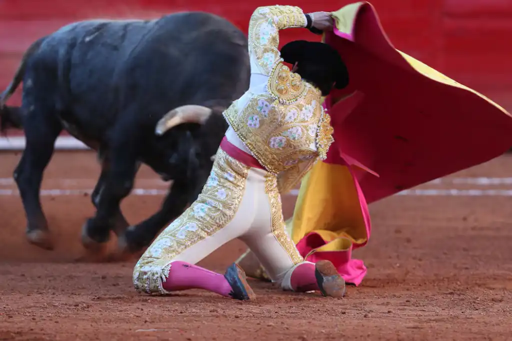 Aprueban prohibir corridas de toros con violencia
