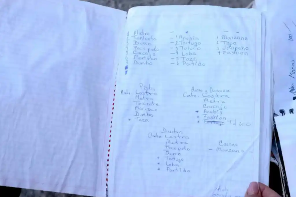 Hallan manuales de sicarios en rancho de Teuchitlán, Jalisco