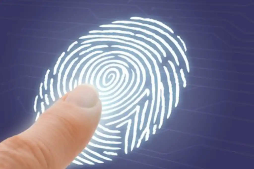 CURP biométrica: el nuevo documento de identidad que transformará los trámites en México