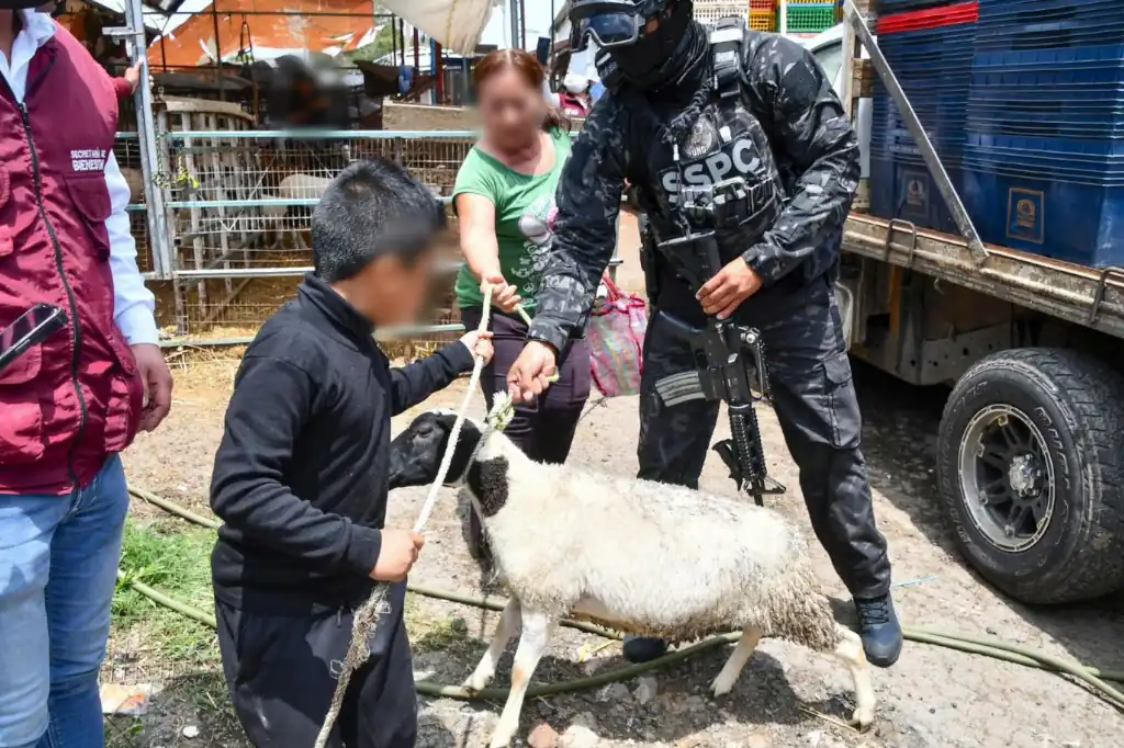 Entregan borregos y alimentos incautados en la «Operación Liberación» a familias del Edomex