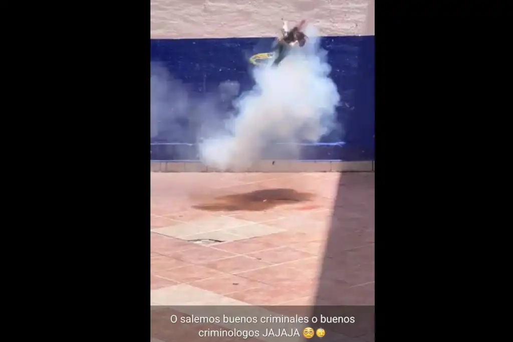 Estudiantes de Criminología en Guanajuato asesinan a un gato con pirotecnia