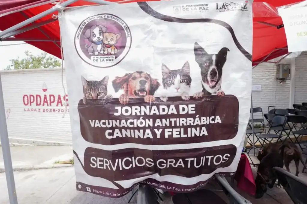 Más de cien mascotas reciben atención en jornada de esterilización en la colonia Carlos Hank González