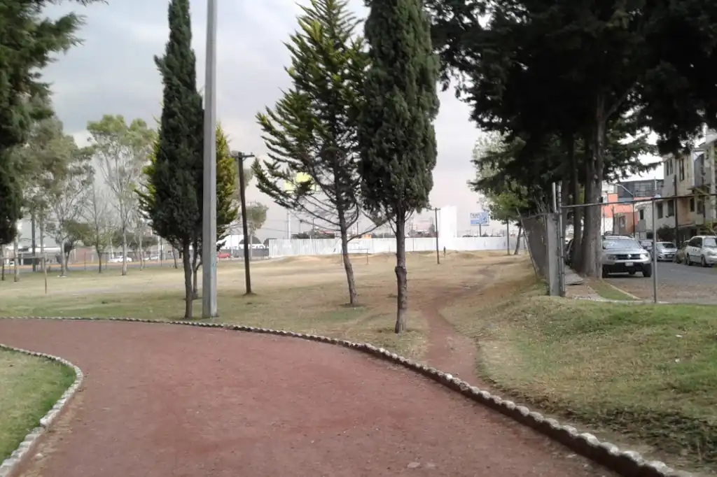 Parque Carlos Hank González: un pulmón urbano en el abandono