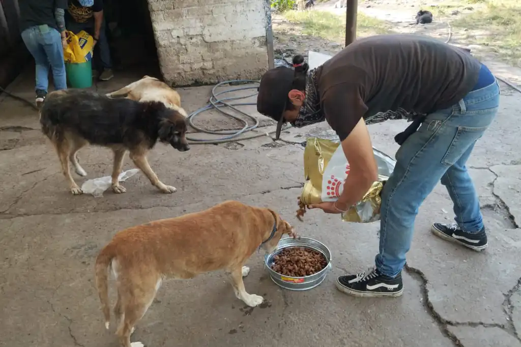 Refugio Franciscano y Fundación Haghenbeck se disputan centro animal